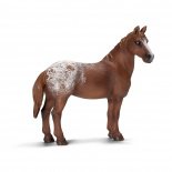 SC Appaloosa kanca