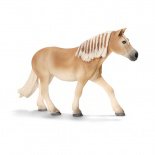 SC Haflinger kanca