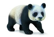 SC Panda közepes