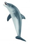 SC Delfin - ugró