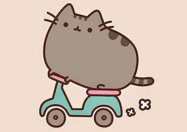 Pusheen Cat, a sztár cicus