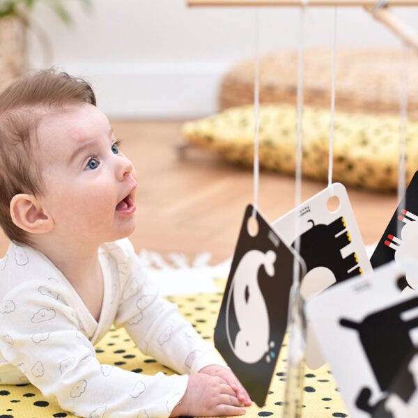 Banana Panda Kontrasztos Kártyák Karikán (3m+)