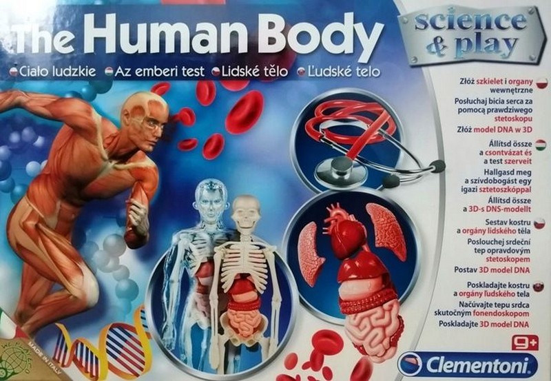 Clementoni Tudomány és játék Az emberi test