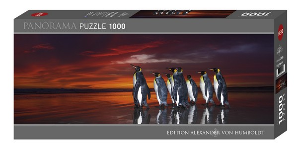 Heye Puzzle 1000 db - King Penguins