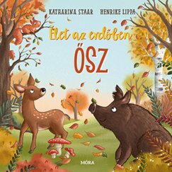 Élet Az Erdőben - Ősz